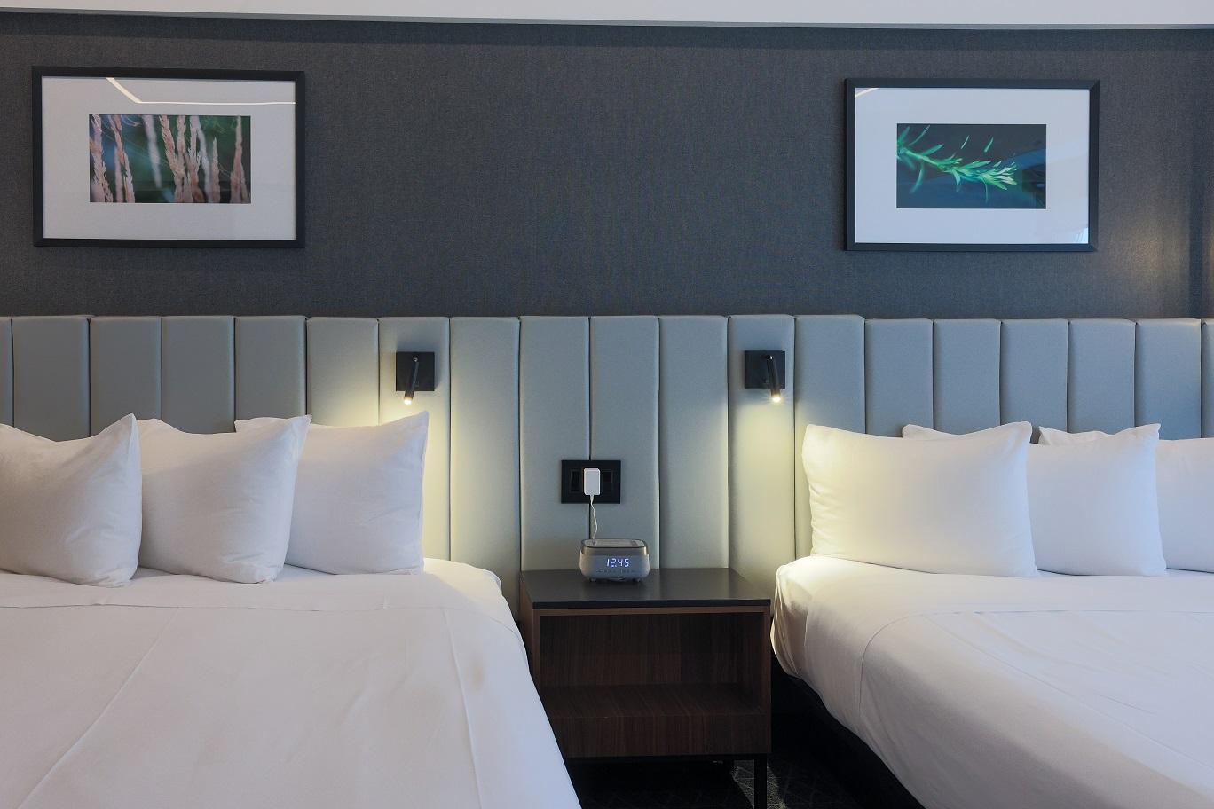 Chambre Standard 2 Lits Queen - 1